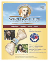 Digital Catalog
